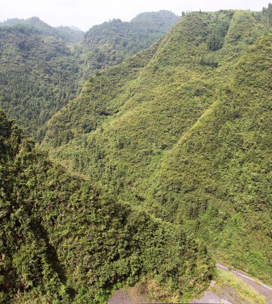 File:ElipoUpstreamPanorama.jpg