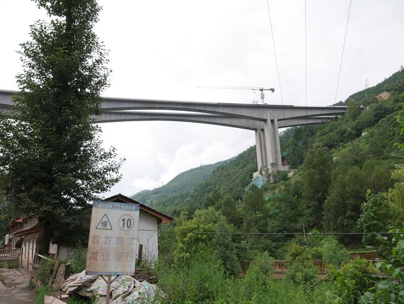 File:QinghengTree.JPG
