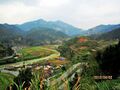 Thumbnail for version as of 08:11, 10 January 2014