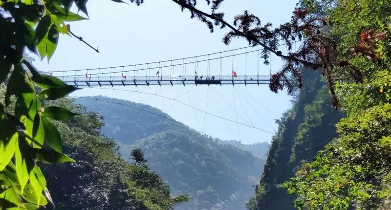 File:Taihuyuan Glass FootbridgeTrees.jpg