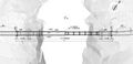 Thumbnail for version as of 05:32, 21 April 2024
