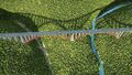 Thumbnail for version as of 06:19, 27 June 2026