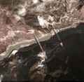 Thumbnail for version as of 10:14, 11 January 2020