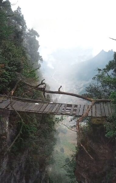File:WufenglingFootbridgeBranch.jpg