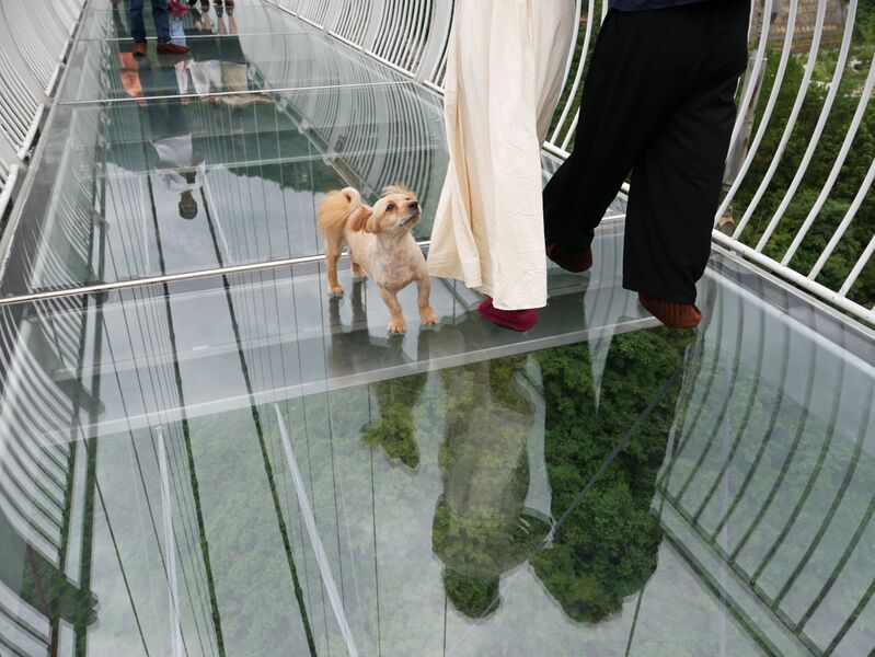 File:Yundingfeidu Glass Footbridge53.JPG