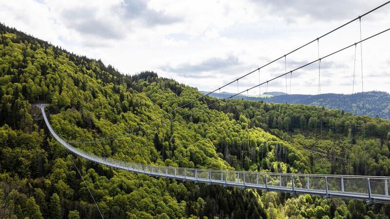File:Blackforestline TodtnauCables.jpg