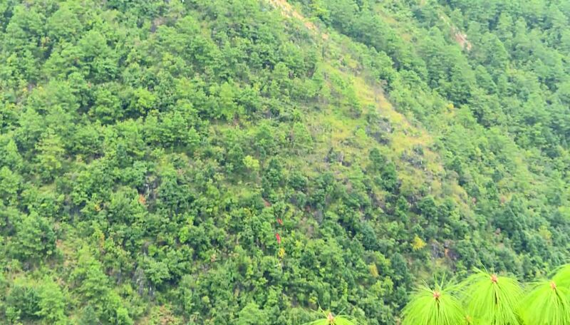 File:DuanshujunPuliSwingGorge.jpg