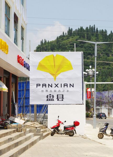 File:162PanxianbyRichard.jpg