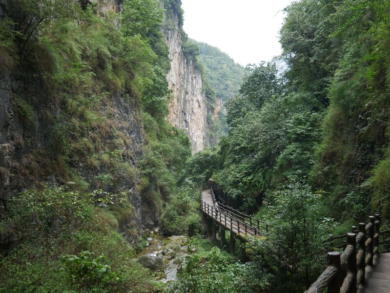 File:NizhuheCanyonLadder.JPG