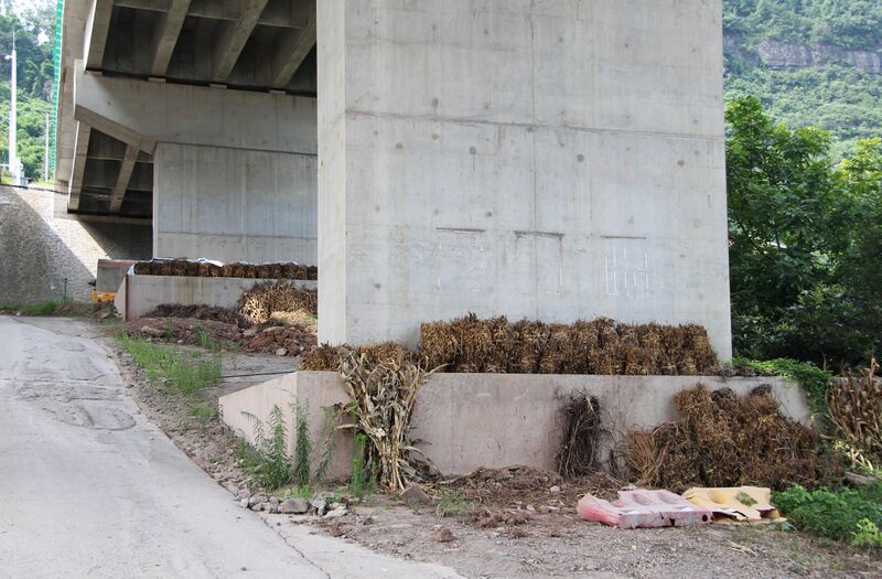 File:FumaYangtzeApproachPier.JPG