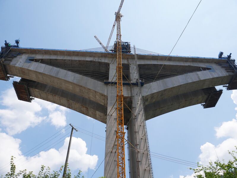 File:YunnanzhuangHammerhead.JPG
