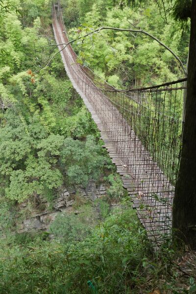 File:YaozhanFootbridge28.JPG