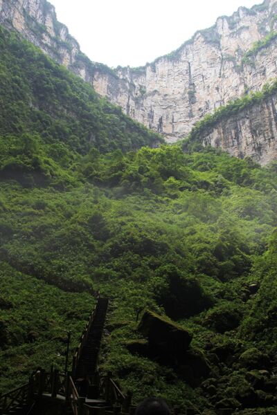 File:639Tiankeng42 copy.JPG