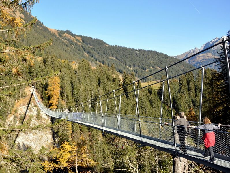 File:Haengebruecke Holzgau oktober2011 5.JPG
