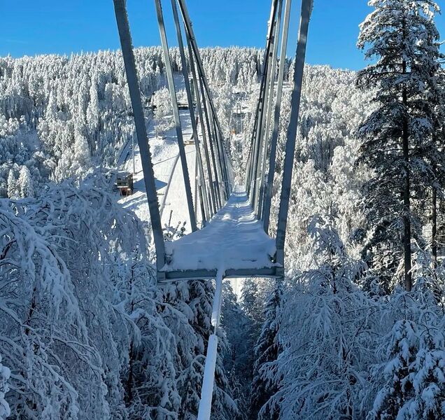 File:Skywalk WillingenByWilfriedMarx.jpg