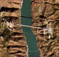 Thumbnail for version as of 10:14, 11 January 2020