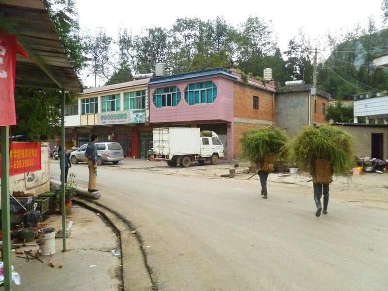File:235PuliStreetByJohn copy.jpg
