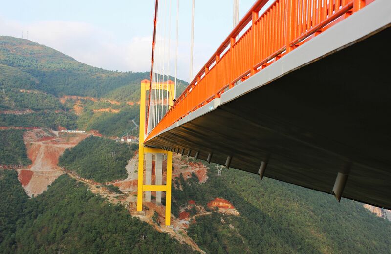 File:240PuliUndersideByBenUsagani copy.jpg