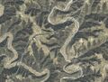 Thumbnail for version as of 10:59, 13 March 2014