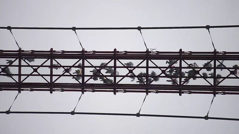 File:YinzuotianmengFootbridgeBungy7.jpg