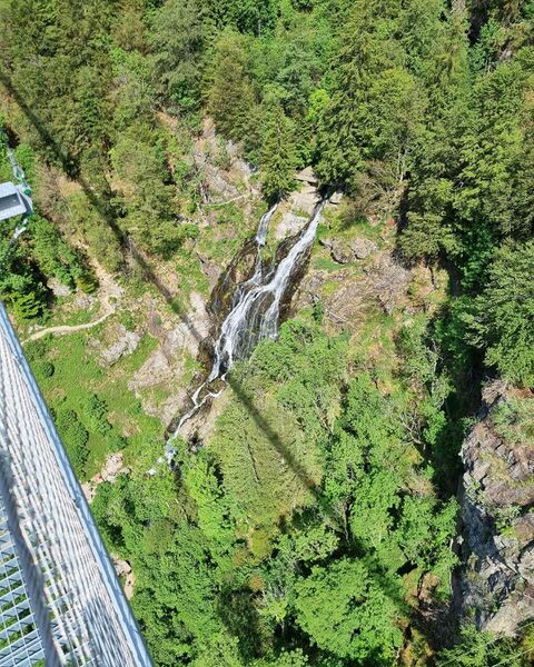 File:Blackforestline Todtnau2.jpg