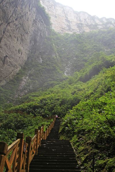 File:648Tiankeng56 copy.JPG