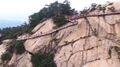 Thumbnail for version as of 03:19, 9 March 2017