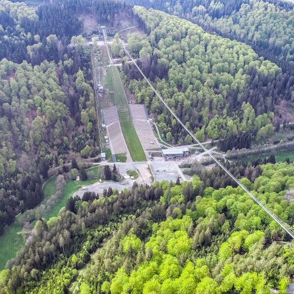 File:Skywalk Willingen Trees.jpg