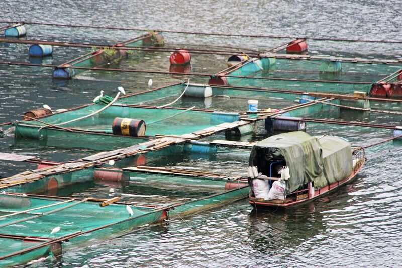 File:LuowangheQingshuiheBeamFishingNets.jpg