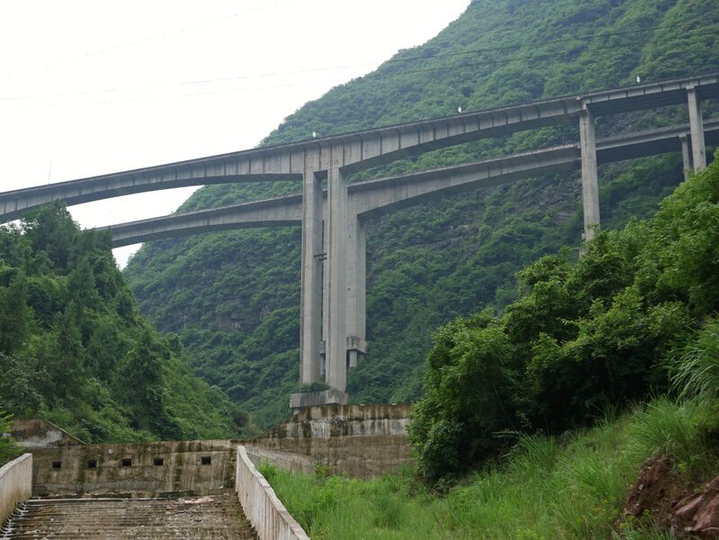 File:YangjiawuOneTrees.JPG