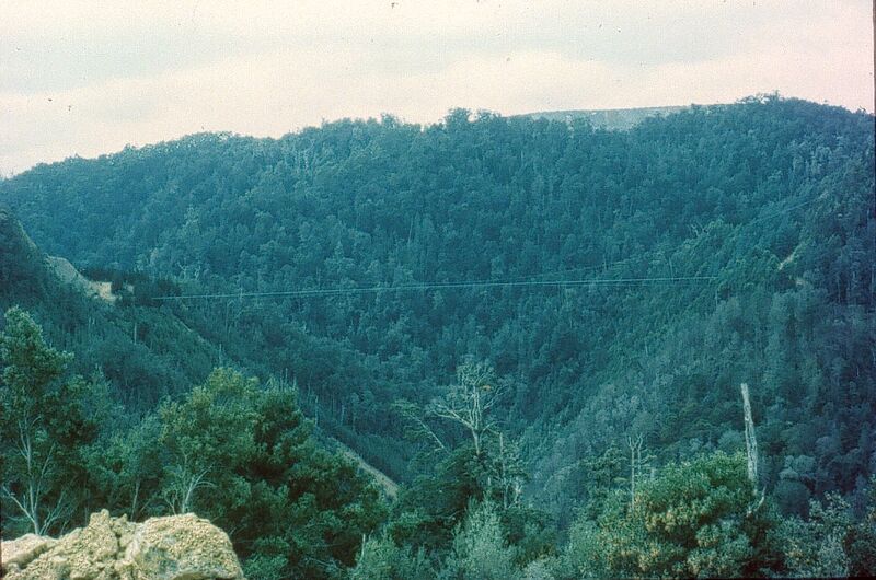 File:2SavageRiverPipelineBridge.jpg