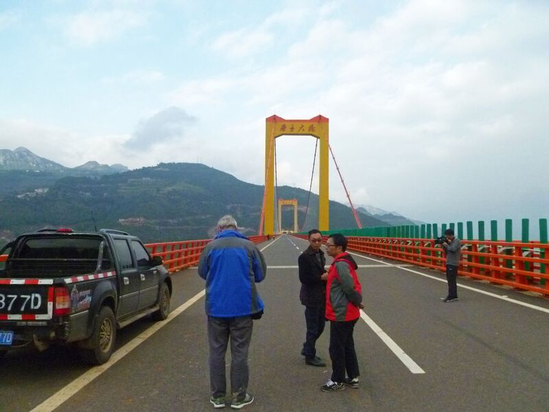 File:238PuliViewByJohn copy.jpg