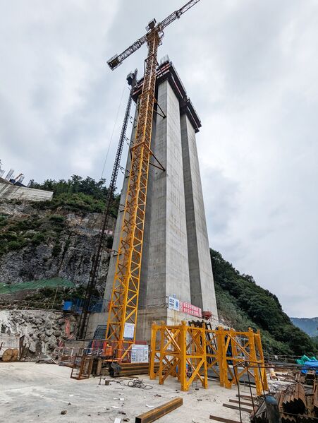 File:Xinlong8.jpg