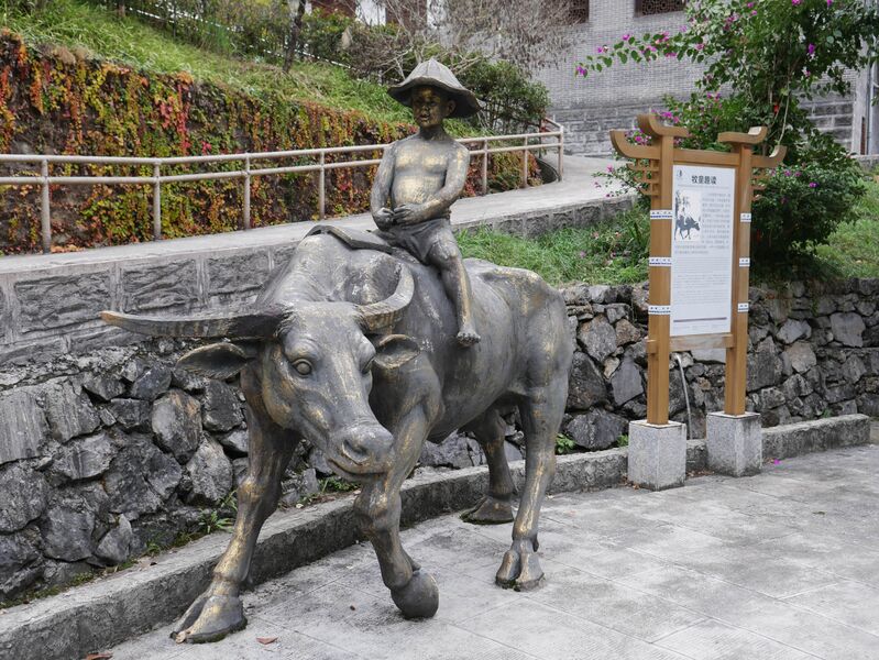 File:AyiheBull.JPG
