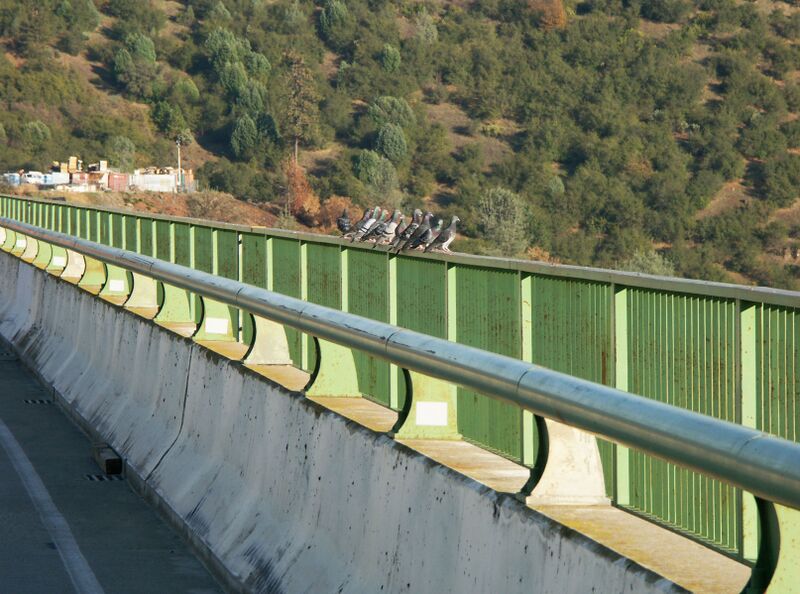 File:AuburnBridge55.jpg