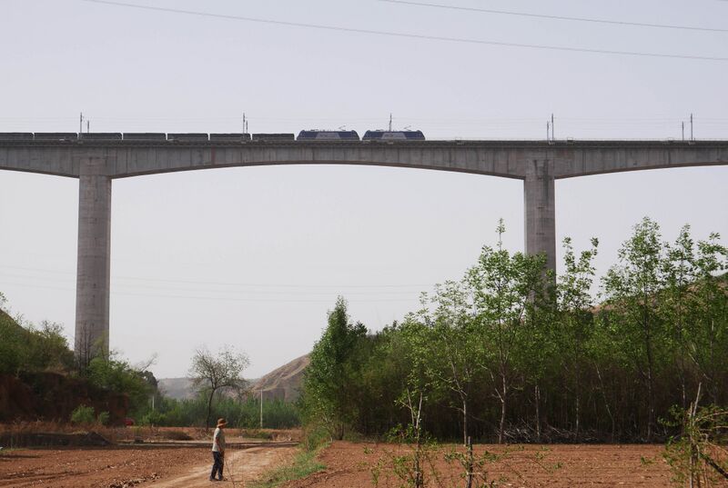 File:JinshuigouRailway Trees.JPG
