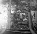 Thumbnail for version as of 03:31, 17 May 2020