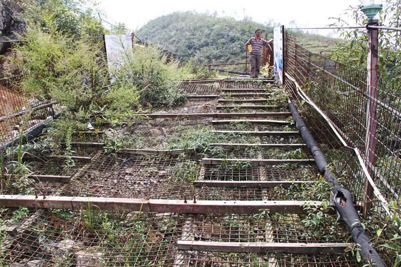 File:DimuheFootbridgeEndFoliage.jpg