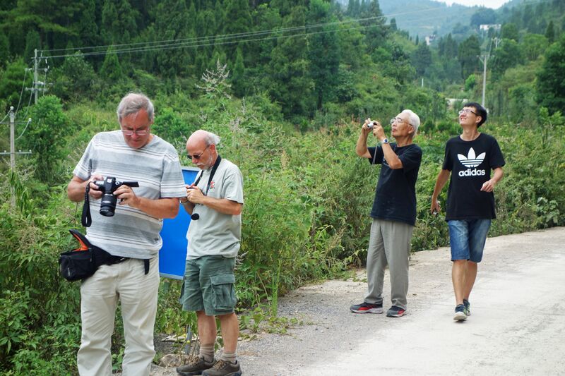 File:CameraCheckingByDamian.jpg