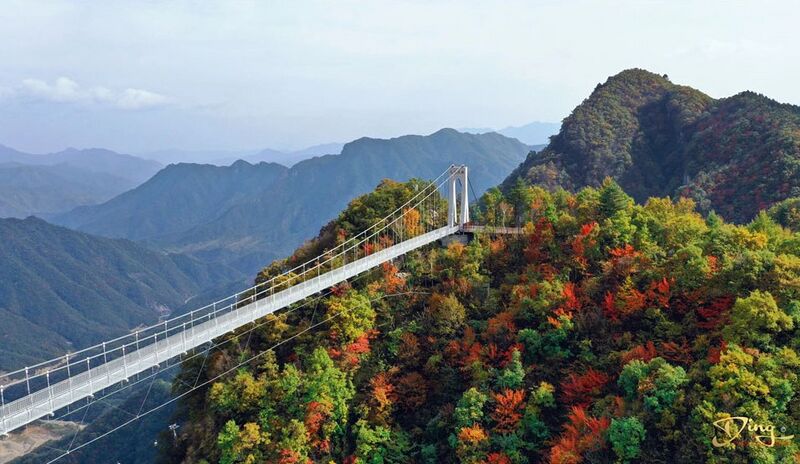 File:JiulongTrees.jpg
