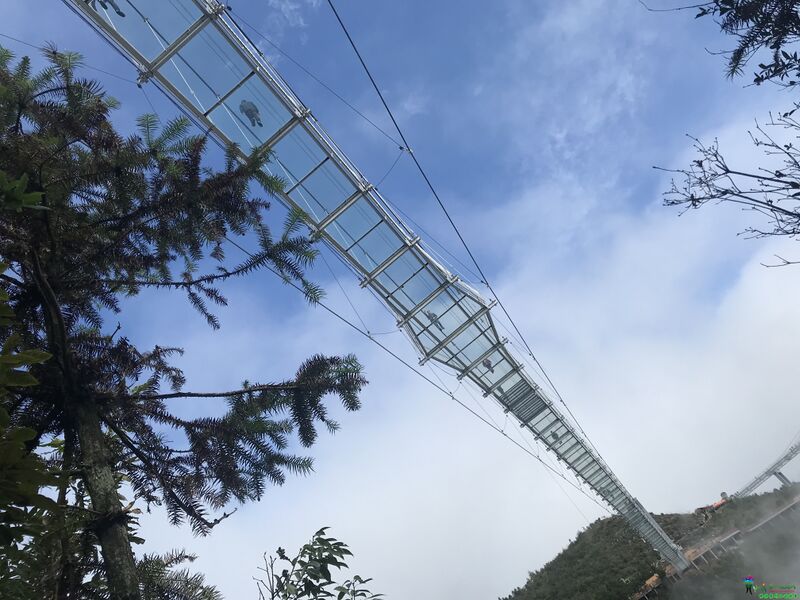 File:Duxian Glass Footbridge Bottom.jpg