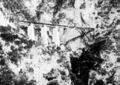 Thumbnail for version as of 02:46, 11 December 2018