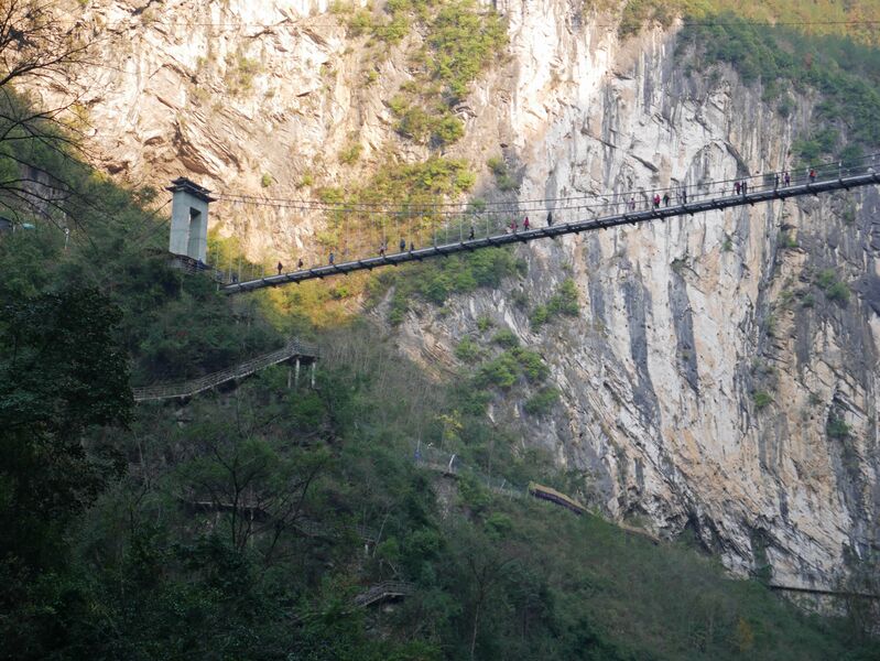 File:MotanyunFootbridgeWallTrees.JPG