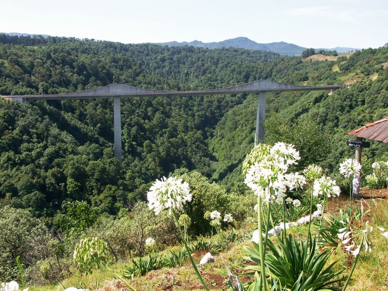 File:Texcapa&Flowers.jpg