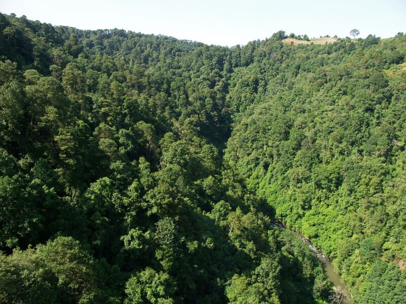 File:TexcapaRiver.jpg