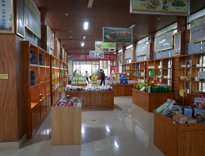 File:Dashiwei Tiankeng44.JPG