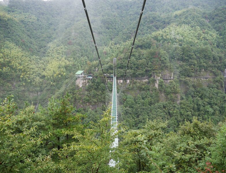 File:LingjiangyuanGlassFootbridgeCablesTrees.JPG
