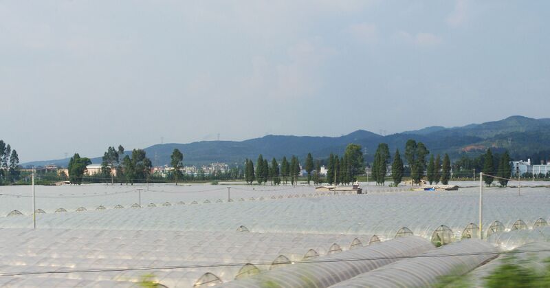File:167YunnanFoodTentsbyRichard.jpg