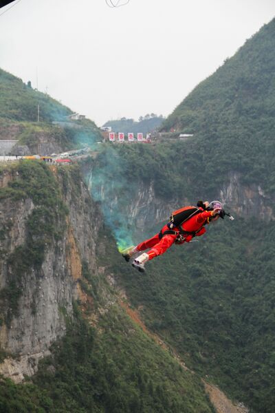 File:91ChineseJumperByAdele.JPG