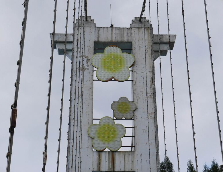 File:Liupanshui MeihuashanFlower.JPG